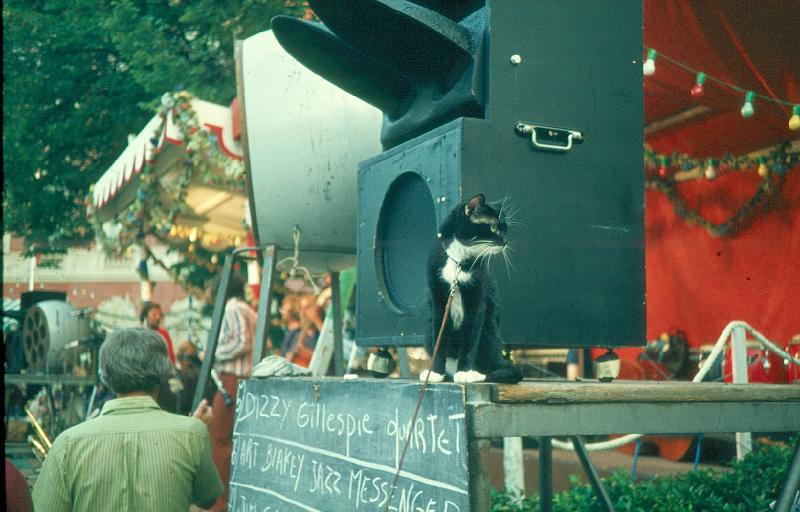 1976-004.jpg - 09.07.1976 Dance Stage
A deaf cat