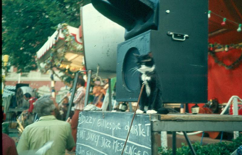 1976-005.jpg - 09.07.1976 Dance Stage
A deaf cat
