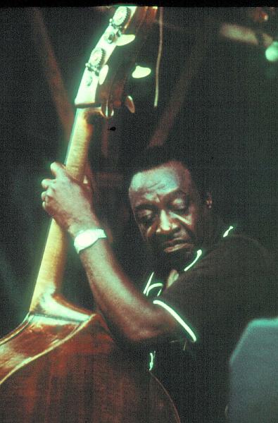 1977-DS29.jpg - 1977 Milt Hinton (Foto Diethelm Schäffner)